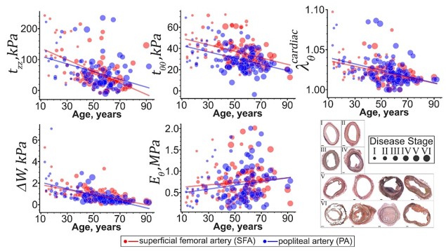 Five scatter plots of longitudinal stress, circumferential stress, stretch, strain energy, and circumferential stiffness against donor age for superficial femoral and popliteal arteries, with marker size indicating disease stage.